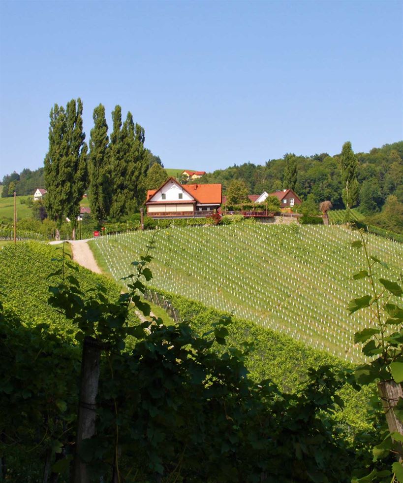 Strablegg-Leitner Südsteiermark Wein Lage Eichberg