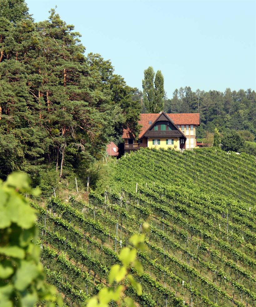 Strablegg-Leitner Südsteiermark Wein Lage Oberhube