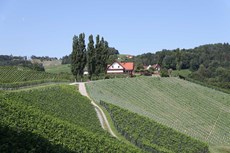 Aufnahme aus der Ferne mit Blick auf Weingut