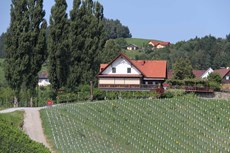 Weingut und Buschenschank mittig zentriert